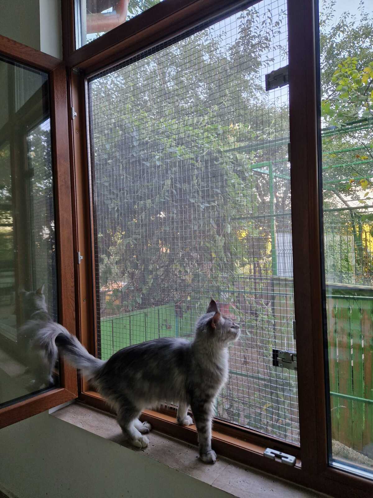 Plasa montata la fereastra